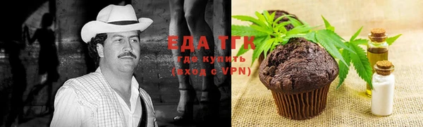 индика Алзамай