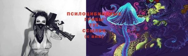 индика Алзамай
