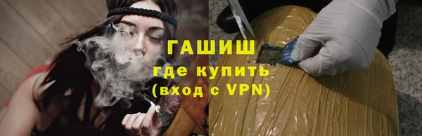 индика Алзамай