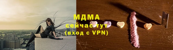 индика Алзамай