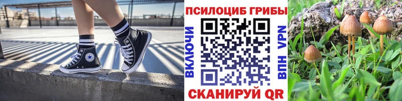 продажа наркотиков Мирный OMG Галлюциногенные грибы Psilocybe